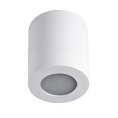 SANI IP44 DSO-W   Prisadené svietidlo